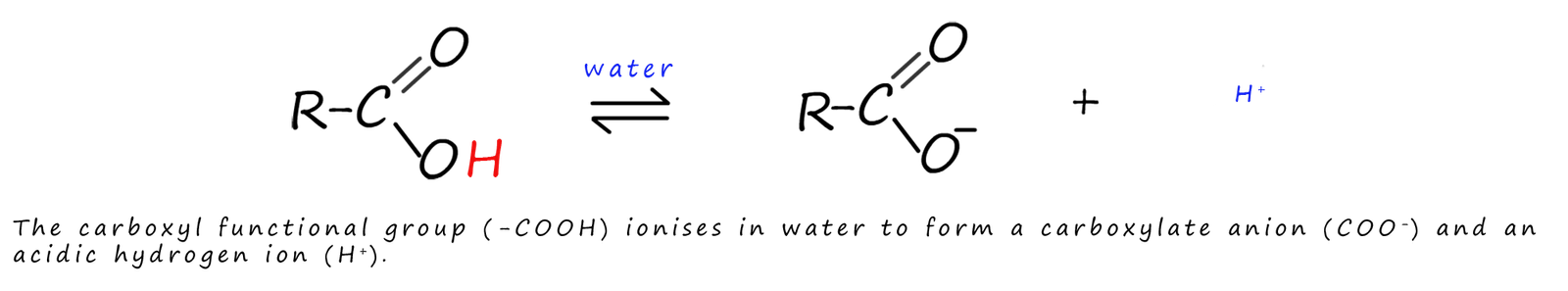 Equation to show the dissociation of a carboxylic acid in water.